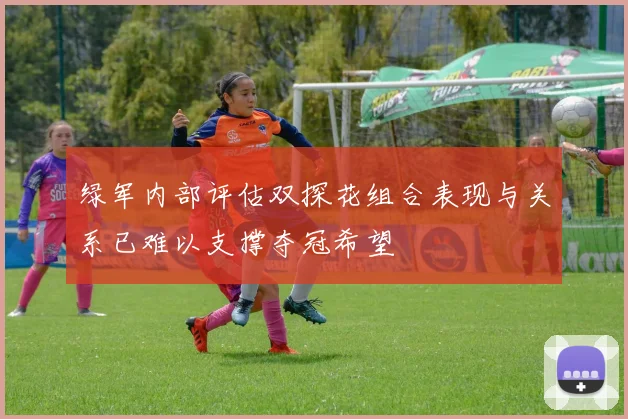 绿军内部评估双探花组合表现与关系已难以支撑夺冠希望