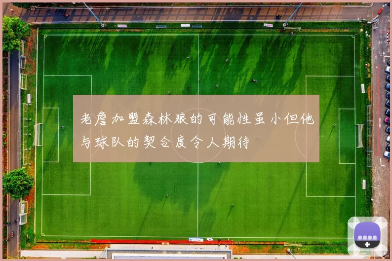 老詹加盟森林狼的可能性虽小但他与球队的契合度令人期待